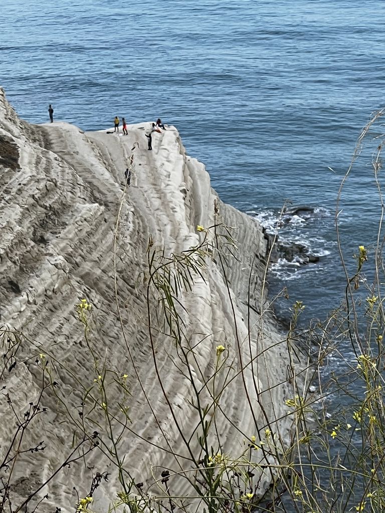 © Susanne Stangl © Susanne Stangl