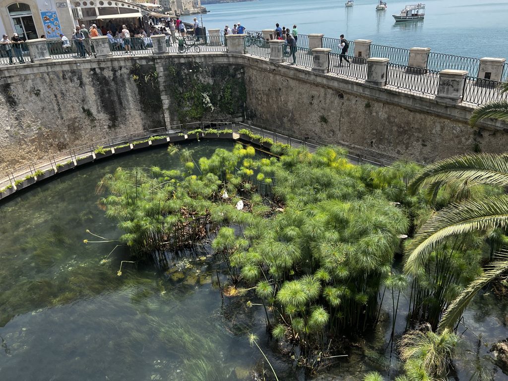 © Susanne Stangl © Susanne Stangl