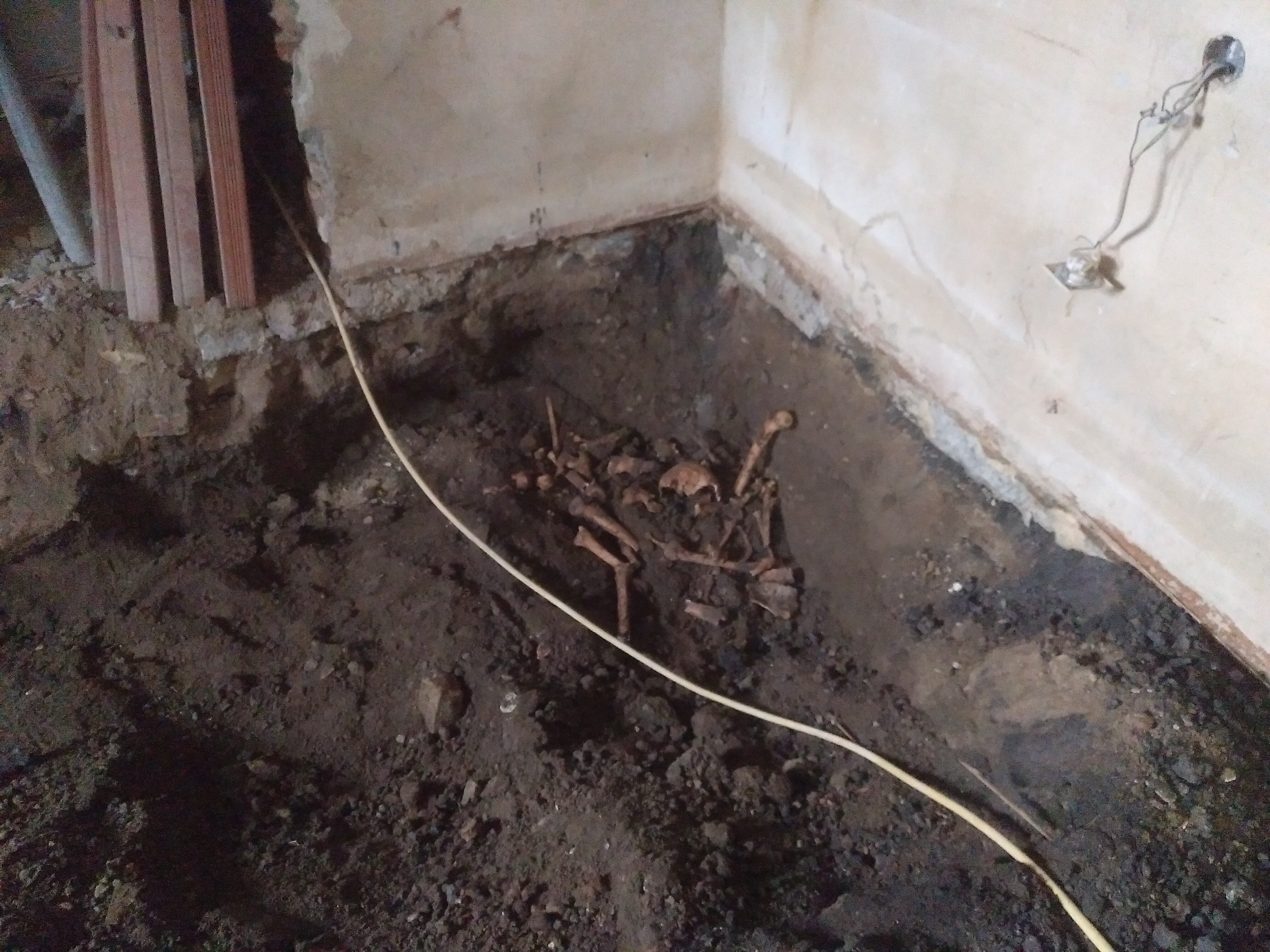 © Silvia Hartl © Silvia Hartl