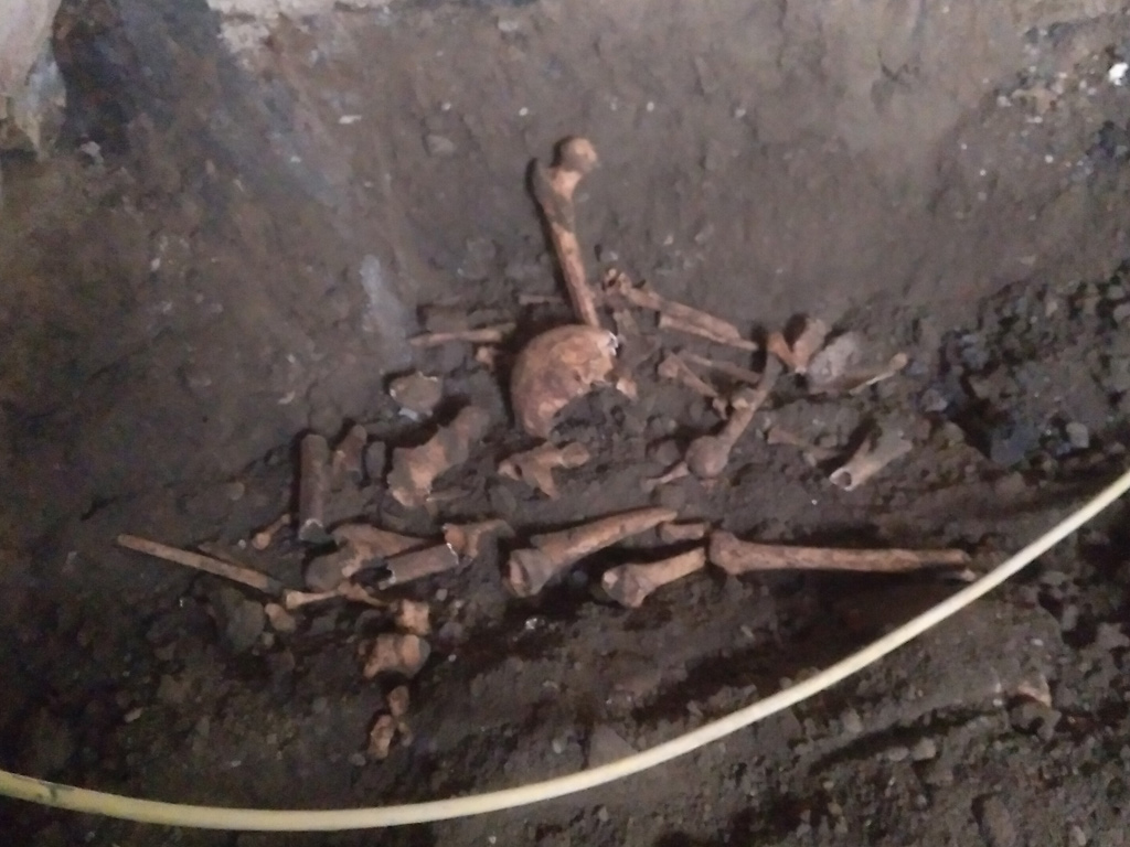 © Silvia Hartl © Silvia Hartl