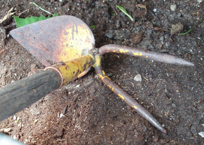 � Maria Lanznaster / pixelio.de