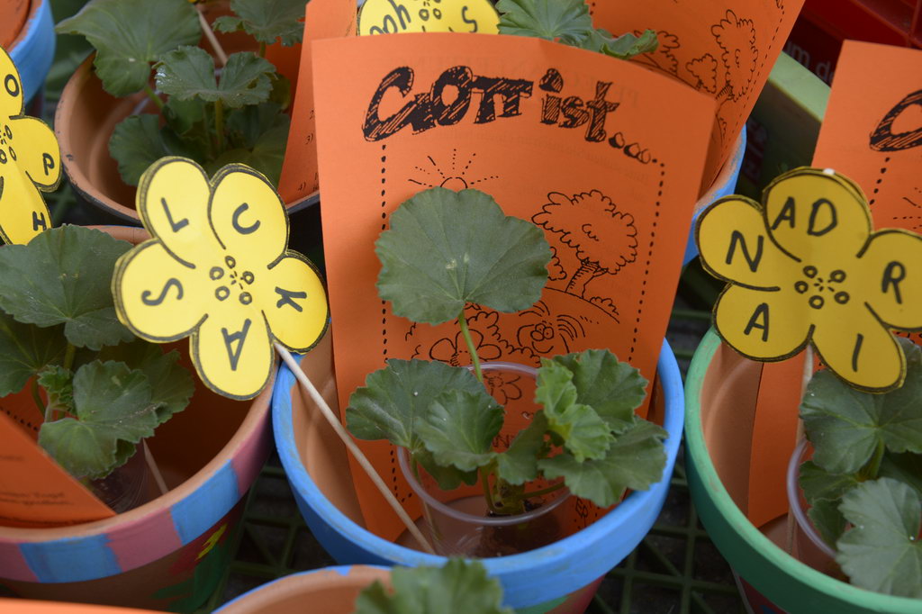 © Klauninger © Klauninger