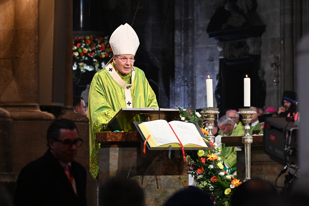 � EDW/Stefan Sch�nlaub