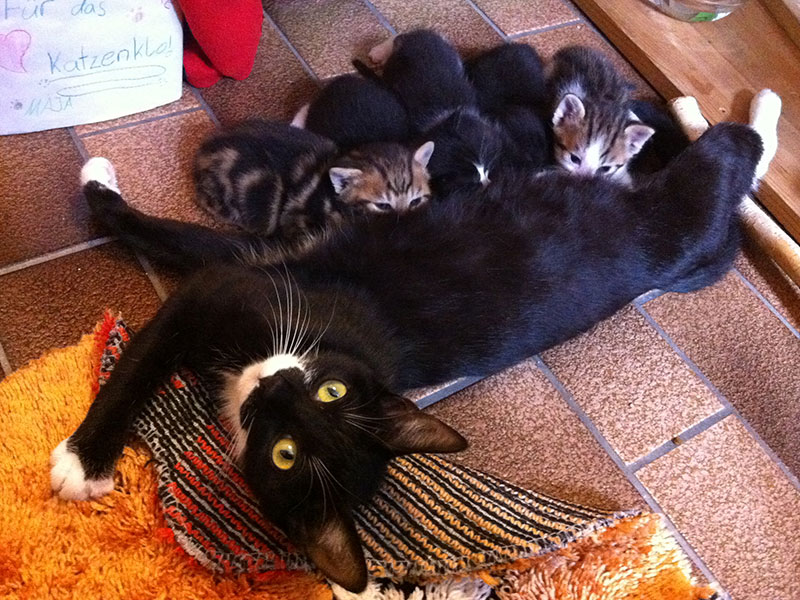 © Anna Pannagl © Anna Pannagl