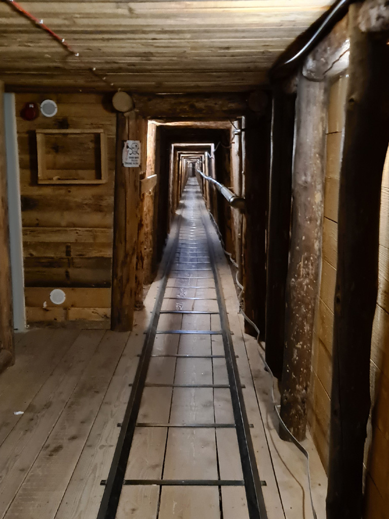 © Susanne Niemeck © Susanne Niemeck