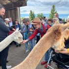 &nbsp;