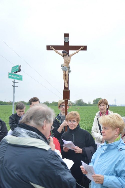 Wallfahrt nach Maria Lanzendorf