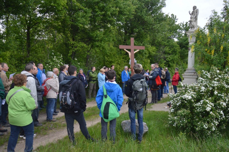 Wallfahrt nach Maria Lanzendorf